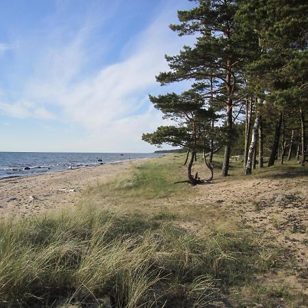 Tahkuna Forest House Kõrgessaare Eksteriør billede