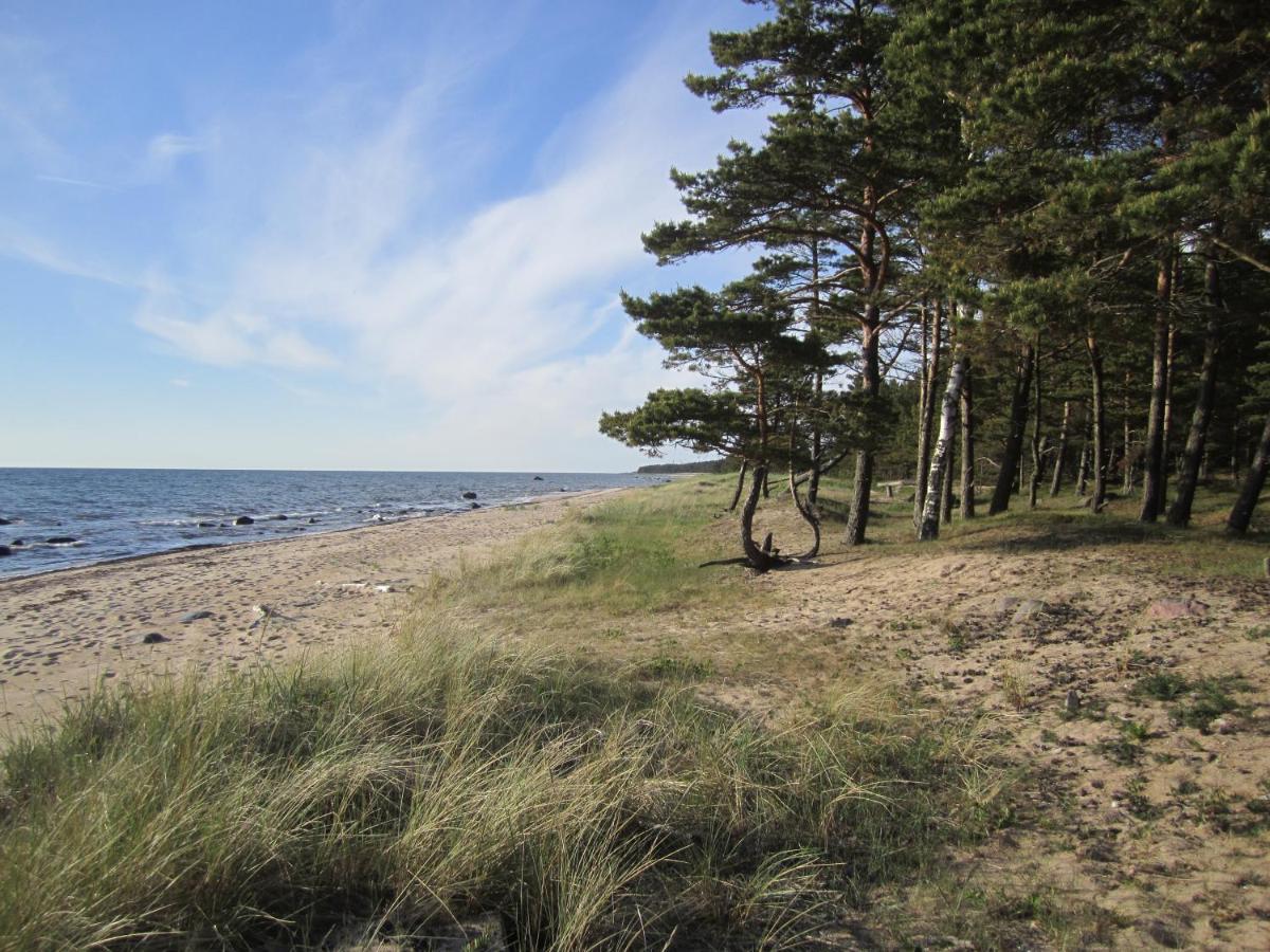 Tahkuna Forest House Kõrgessaare Eksteriør billede